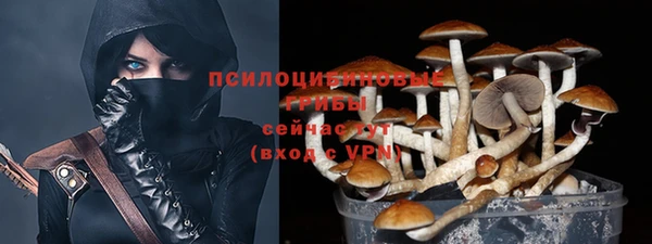 прущая мука Абаза