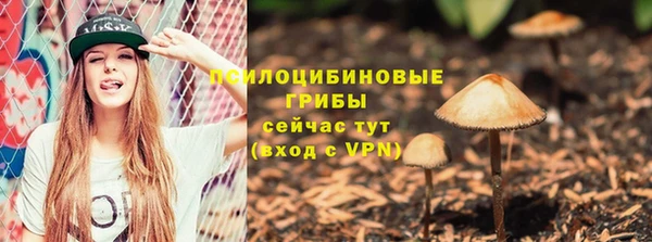 прущая мука Абаза