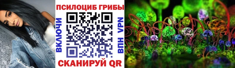 Галлюциногенные грибы Psilocybine cubensis  МЕГА ССЫЛКА  Абдулино 